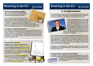 Flyer-Ruebig-preview